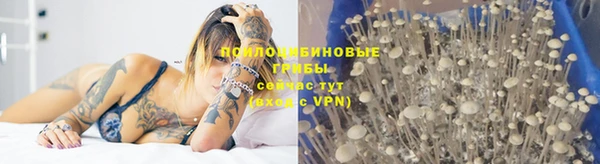 альфа пвп VHQ Алзамай